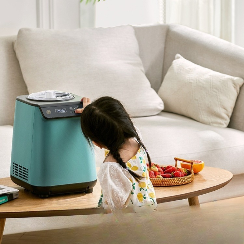 Home Cooking Business - Home and business dual-purpose automatic fast