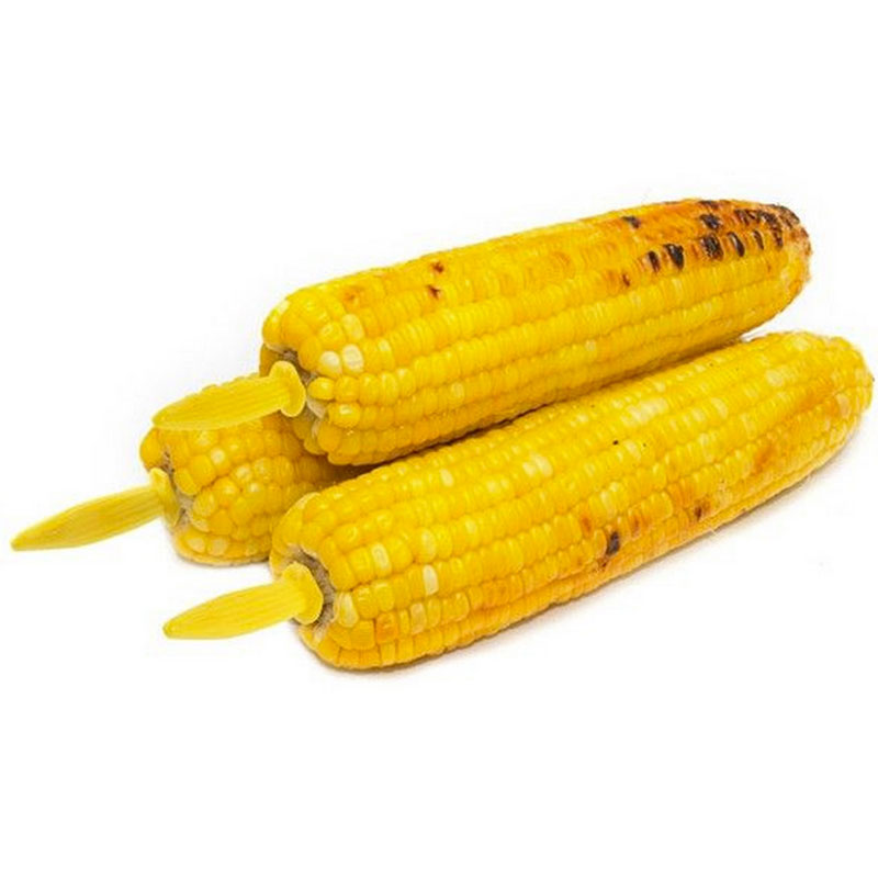5/10PCS Stainless Steel Corn H - Home Cooking For Dogs recension och pris